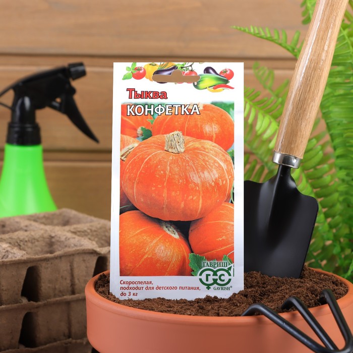 Семена Тыква