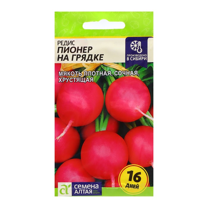 Семена Редис