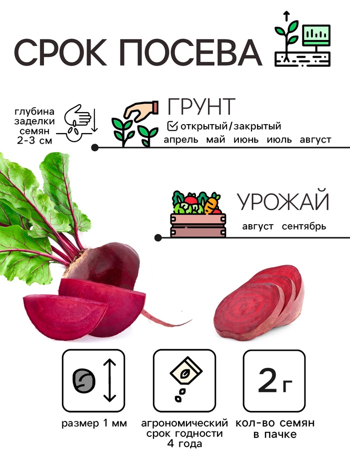 Семена Свекла «Египетская плоская», 2 г