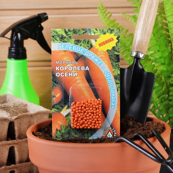 Семена Морковь