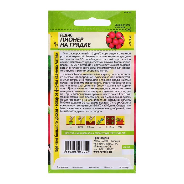 Семена Редис