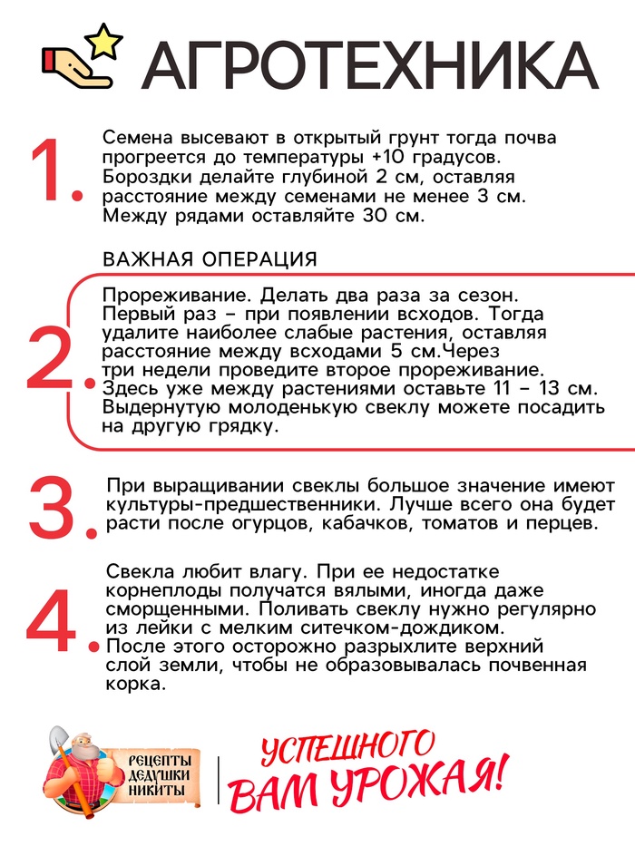 Семена Свекла «Египетская плоская», 2 г