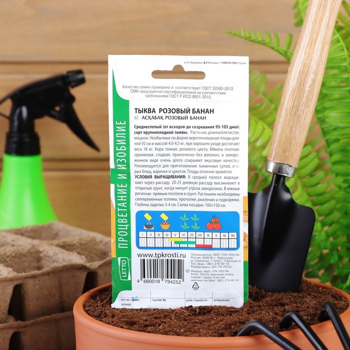 Семена Тыква