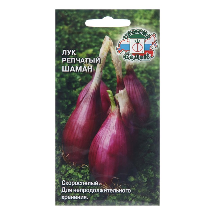 Семена Лук репчатый «Шаман», 1 г