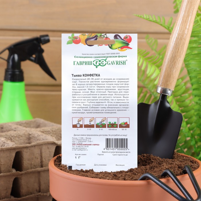 Семена Тыква