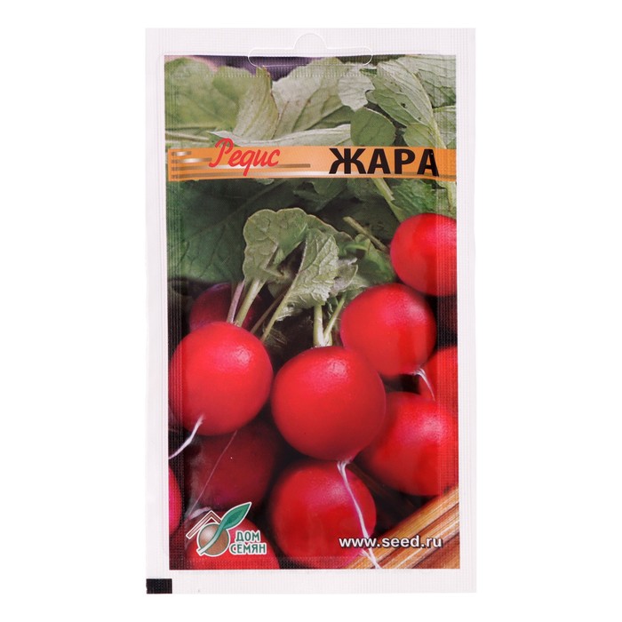 Семена Редис