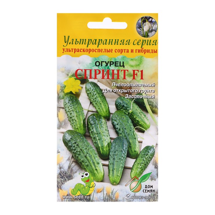 Семена Огурец