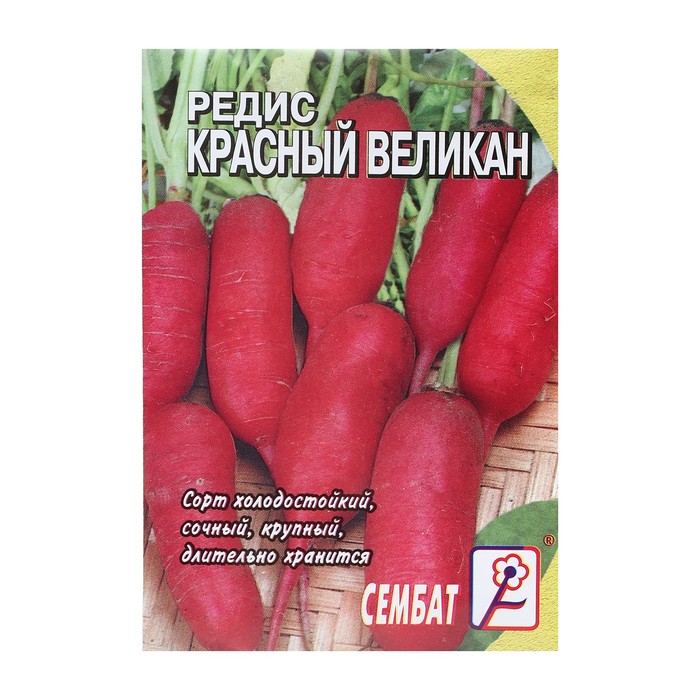 Семена Редис