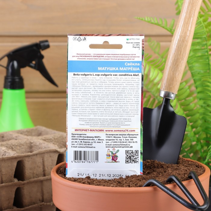 Семена Свекла