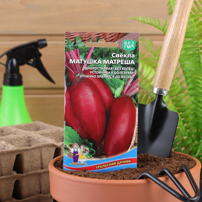 Семена Свекла