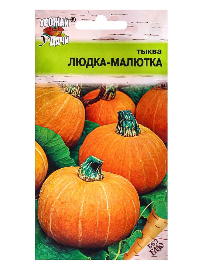 Семена Тыква