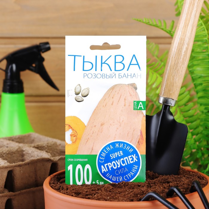 Семена Тыква