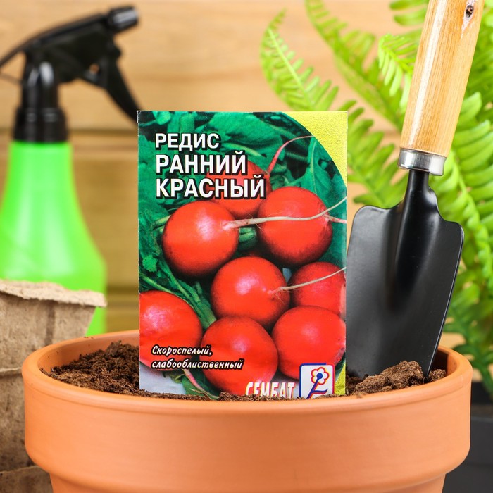 Семена Редис