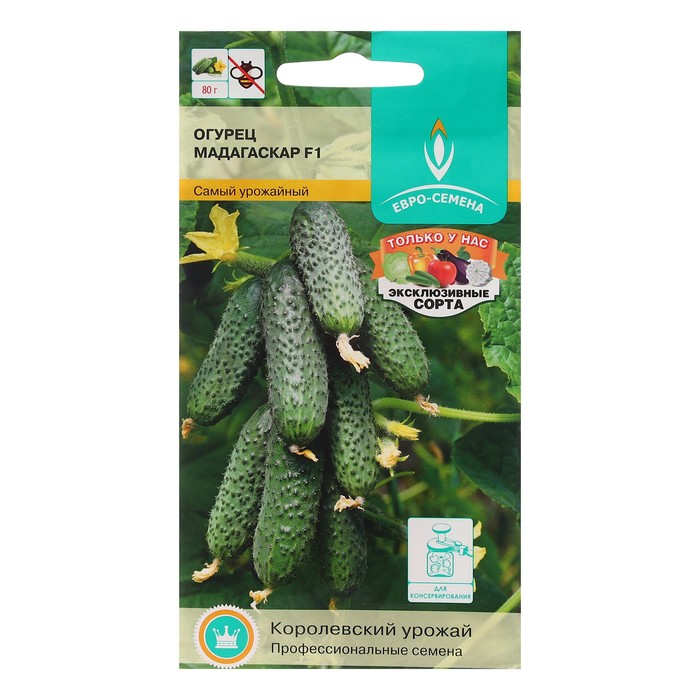 Семена Огурец