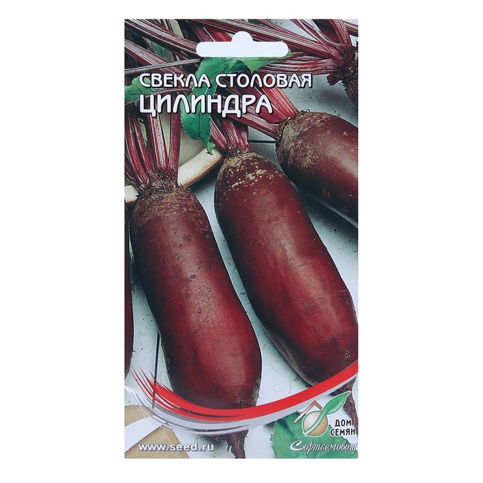 Семена Свекла