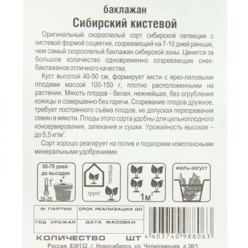 Семена Баклажан 