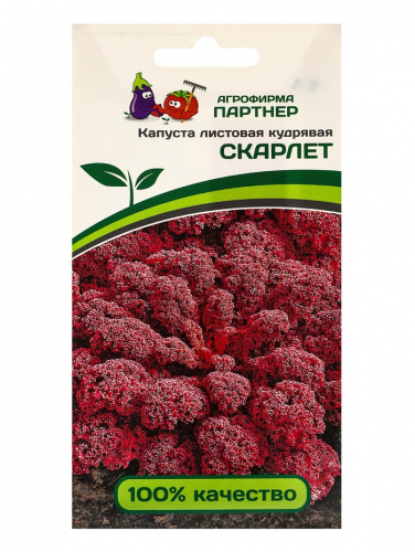 Семена Капуста листовая кудрявая 