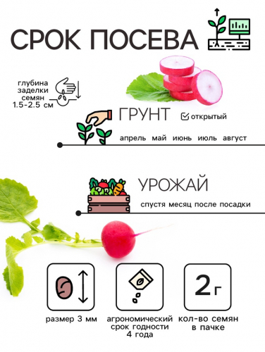 Семена Редис 
