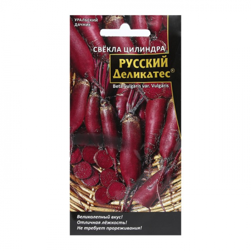Семена Свекла цилиндра 