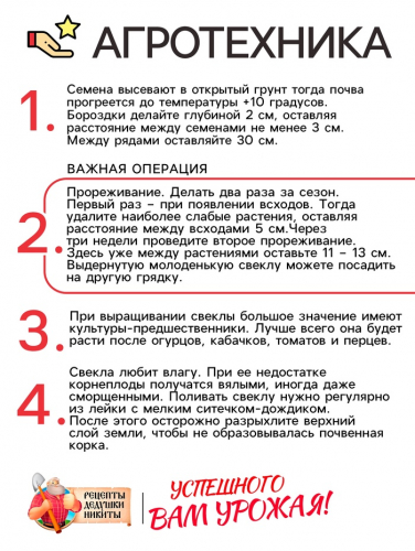 Семена Свекла «Египетская плоская», 2 г
