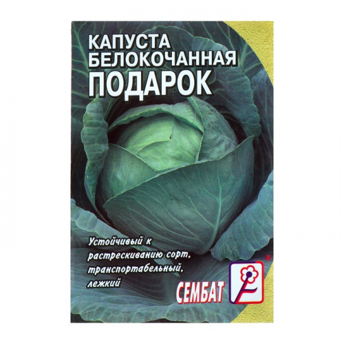 Семена Капуста белокачанная 