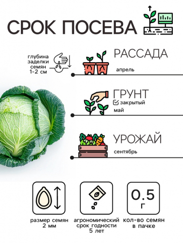 Семена Капуста белокочанная 