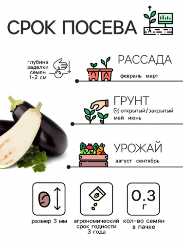 Семена Баклажан 