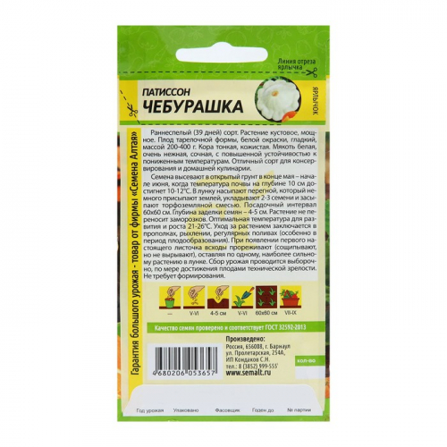 Семена Патиссон 
