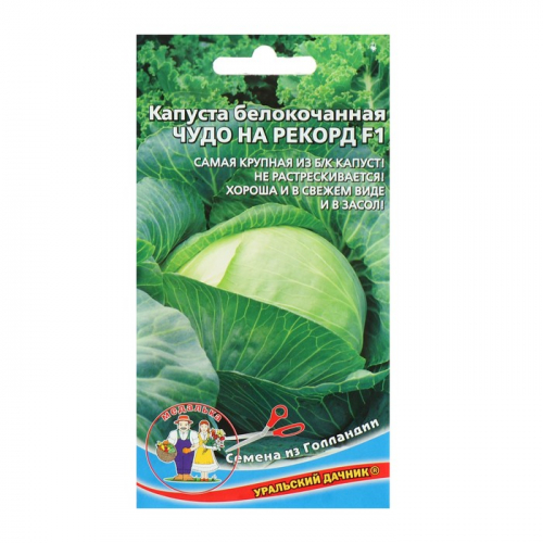 Семена Капусты белокочанной 