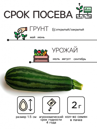 Семена Кабачок цукини 