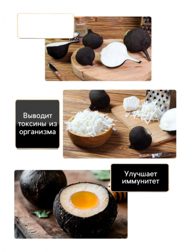 Семена Редька 