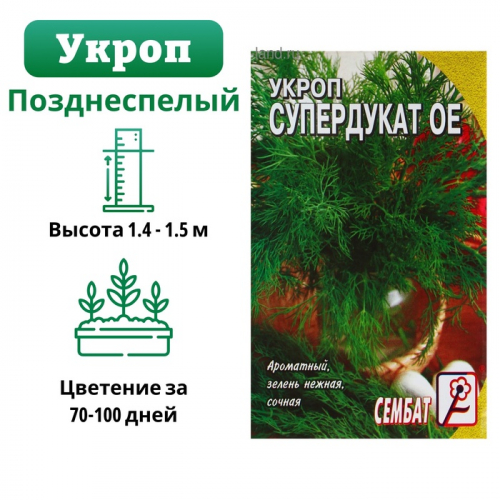 Семена Укроп 