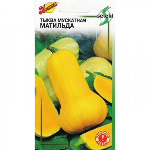 Семена Тыква мускатная 