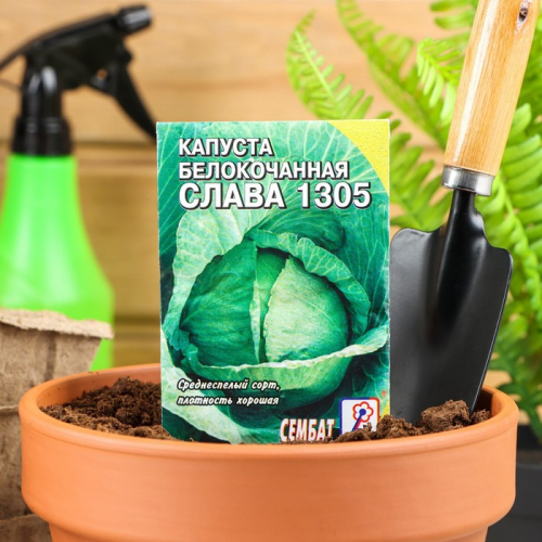 Семена Капуста белокачанная 