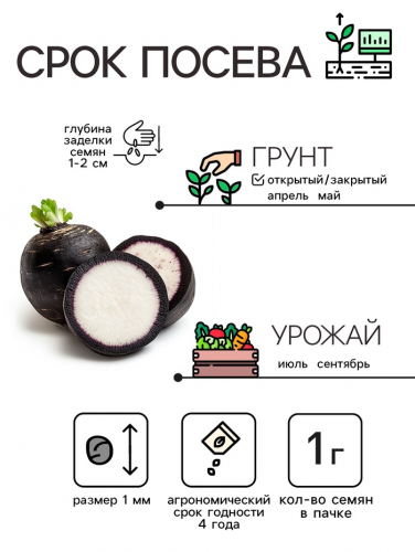 Семена Редька 