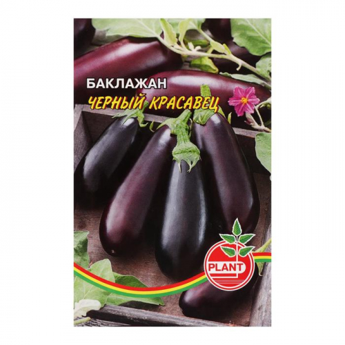 Семена Баклажан 