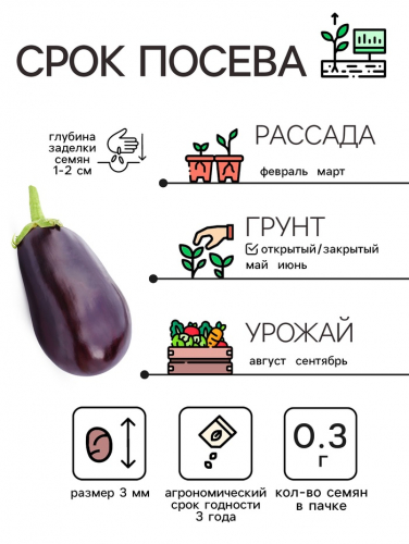 Семена баклажана 