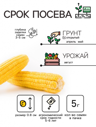 Семена Кукуруза сахарная 