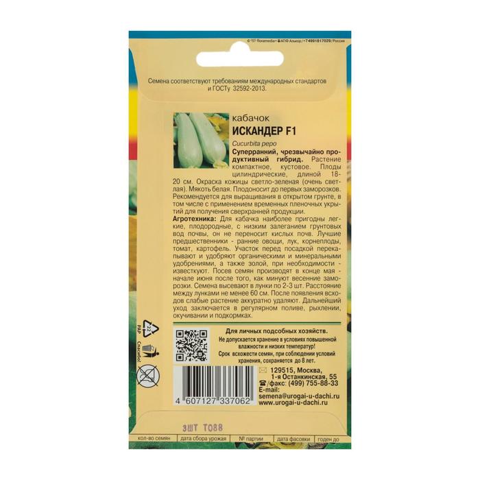 Семена Кабачок