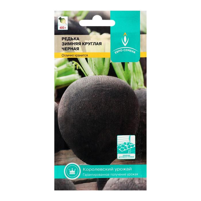 Семена Редька