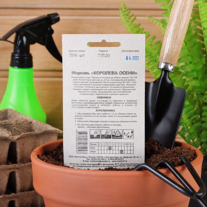 Семена Морковь