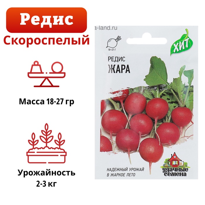 Семена Редис