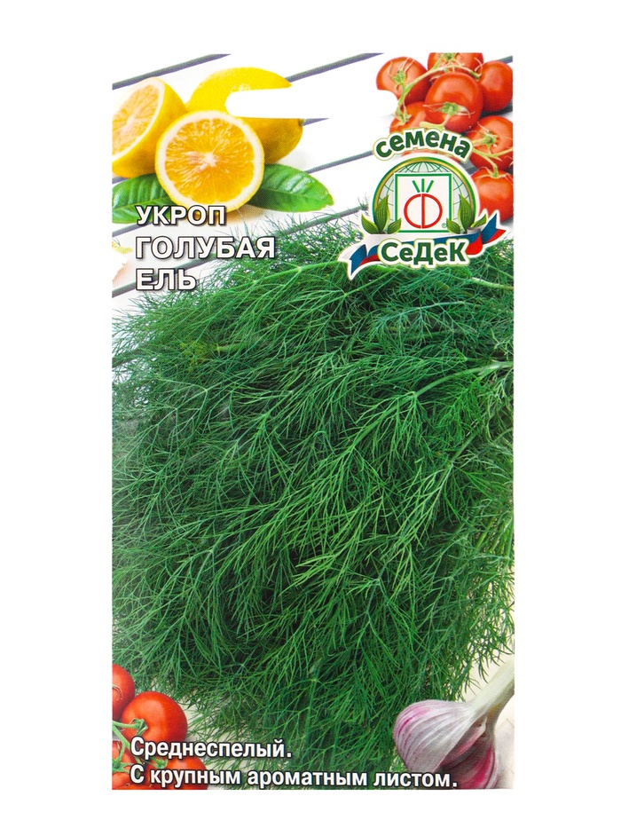 Семена Укроп «Голубая ель», 2 г