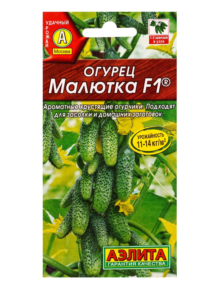 Семена Огурец