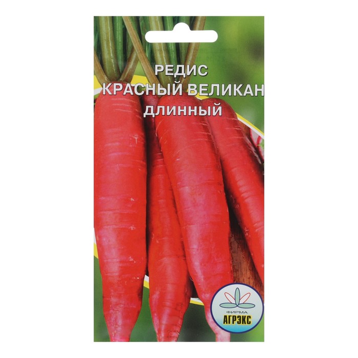 Семена Редис