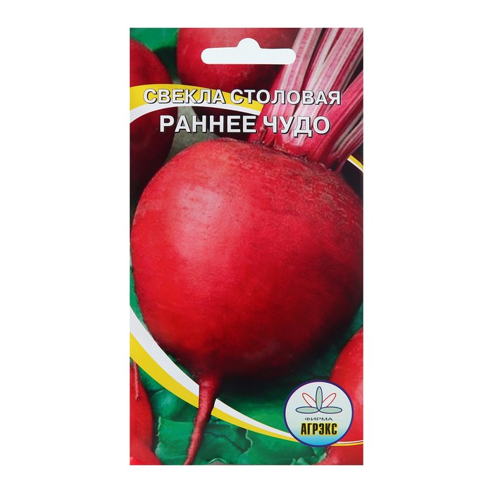 Семена Свекла