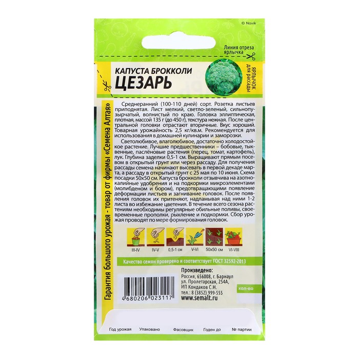 Семена Капуста