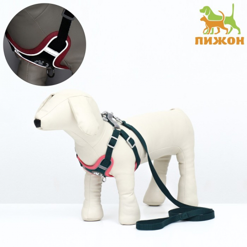 Комплект Sport+, XS, поводок 120 x 1,5 см, ОШ 37-39 см, ОГ 41-46 см,  розово - чёрный