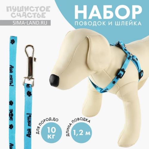 Поводок «Дай пять» 120×1 см, шлейка 26-39 см