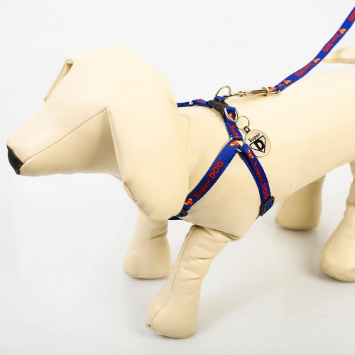 Комплект Super DOG, шлейка 26-39 см, поводок 120х1 см, медальон